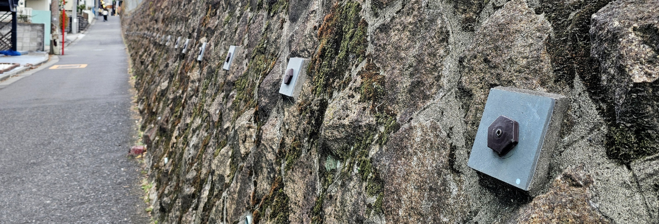 Rock Bolts Stabilize - Argentium